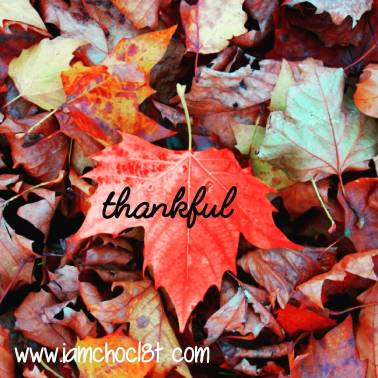 23823733_138888600215765_3100894069052669952_n