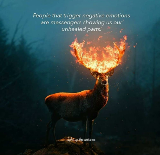 Screenshot_20180108-131236